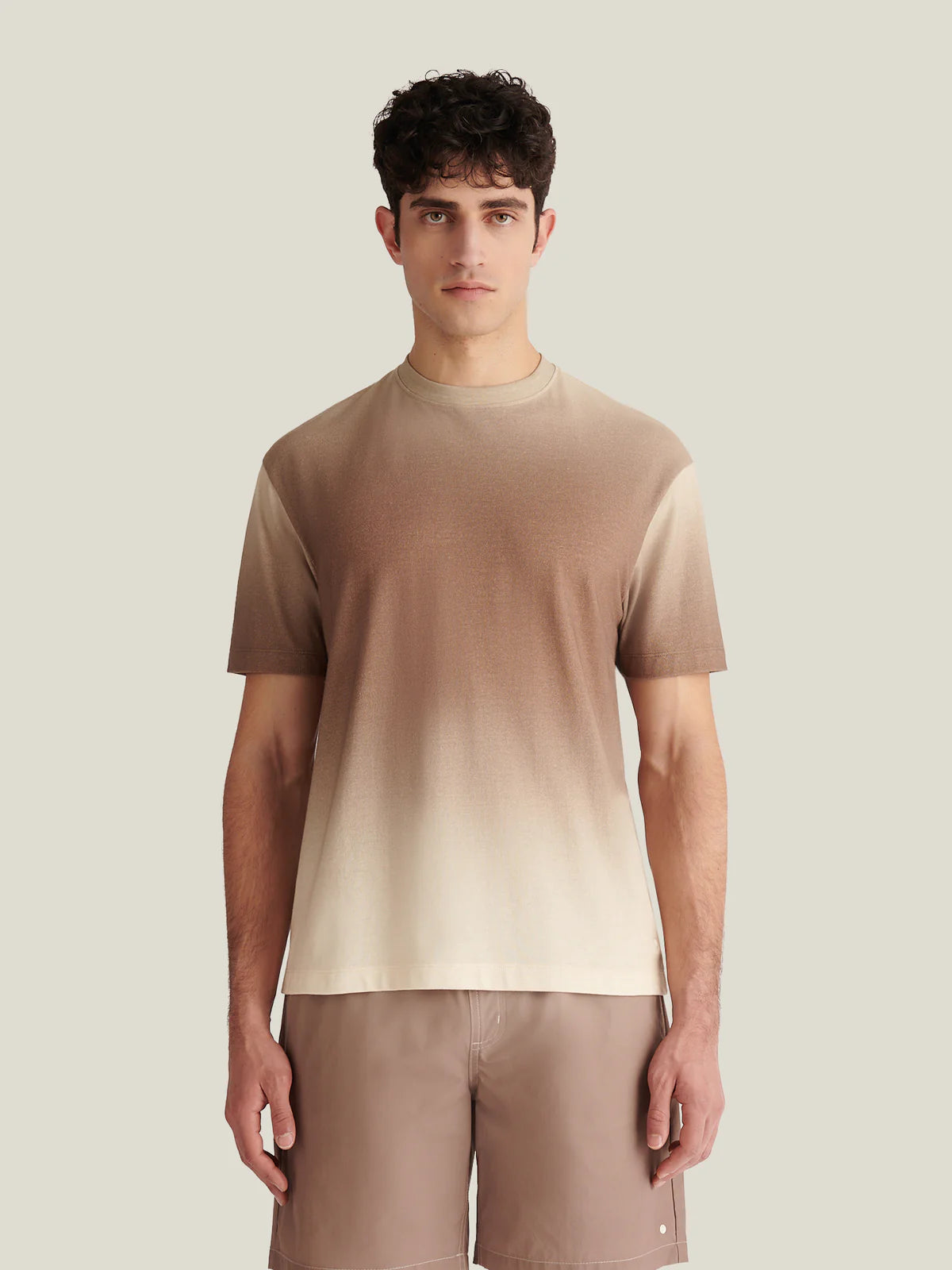 Peckham Rye Gradient Print T Shirt - Caribou
